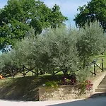 La Cantina San Martino
