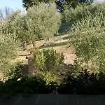 La Cantina San Martino Κατάλυμα σε φάρμα