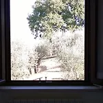 La Cantina San Martino