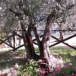 La Cantina San Martino * Ασίζη