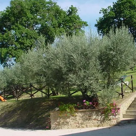 La Cantina San Martino