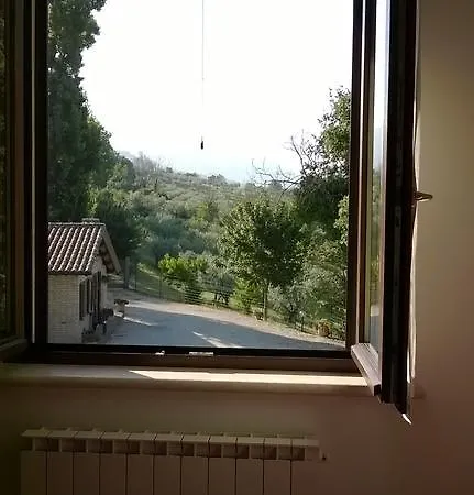 La Cantina San Martino *