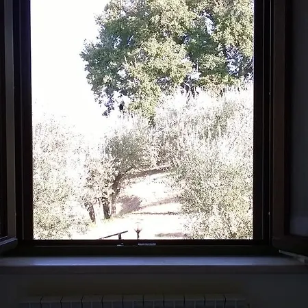 La Cantina San Martino