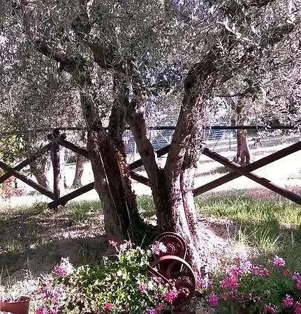 La Cantina San Martino * Ассизи